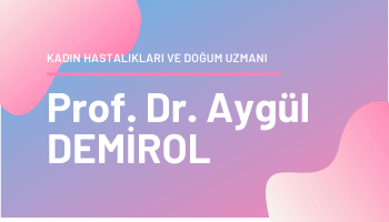Prof. Dr. Aygül DEMİROL